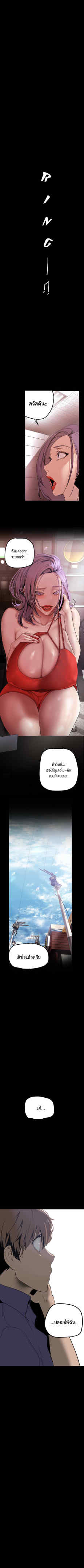 Wonder 135 1