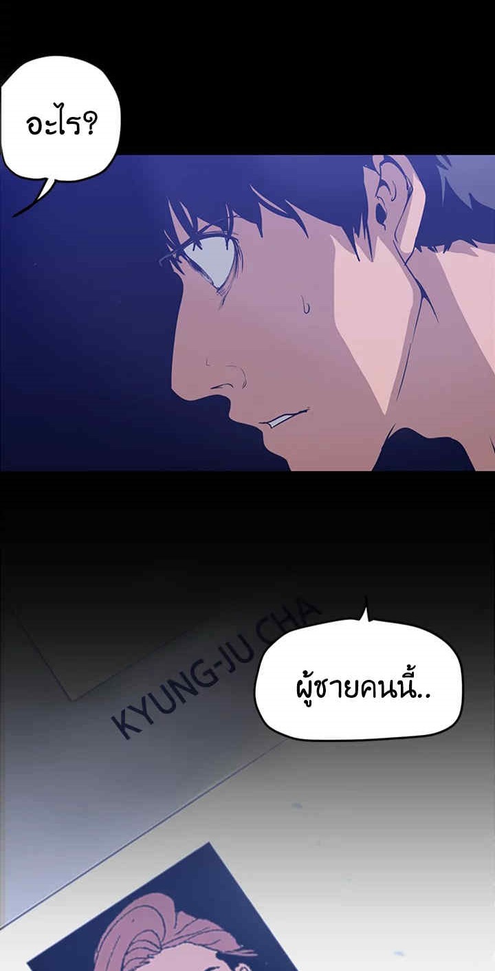 Wonder 138 079