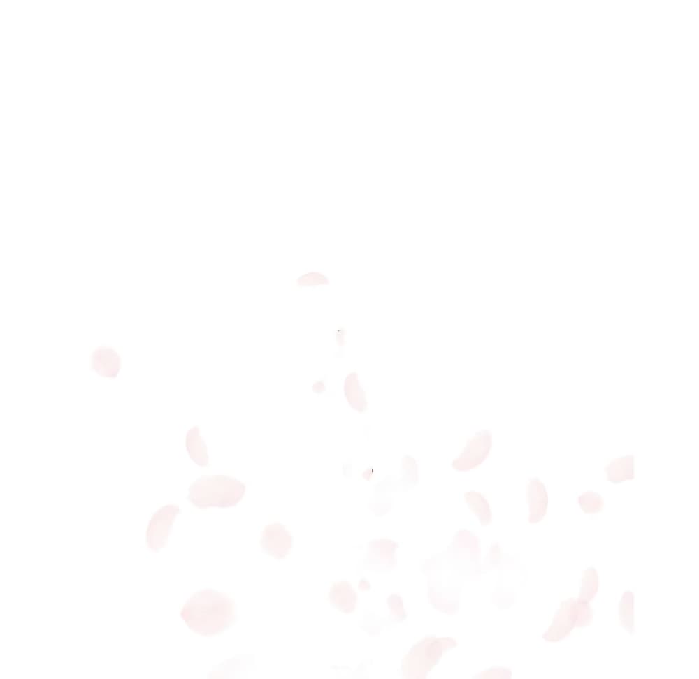 Fallen Flower 33 031