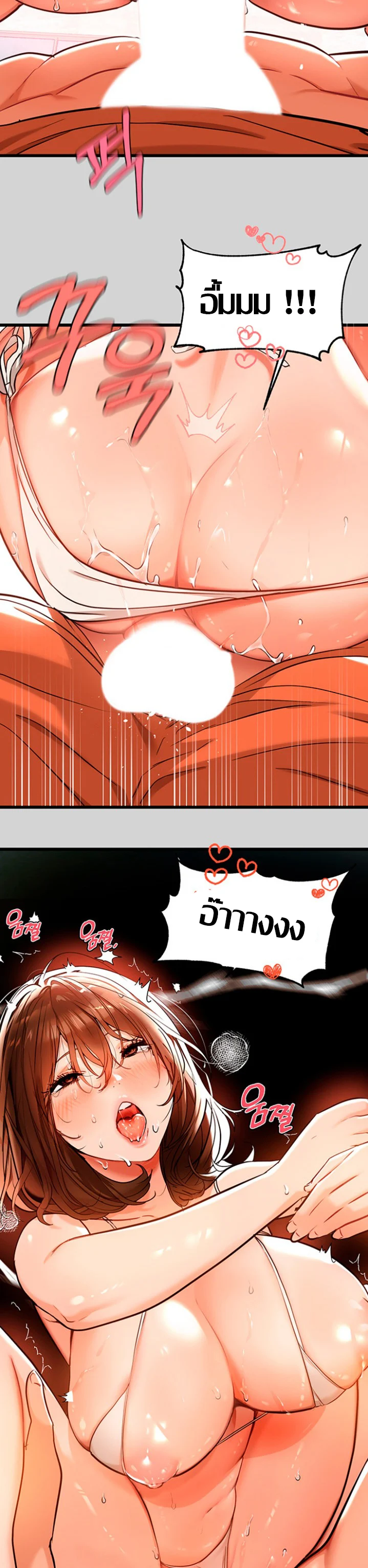 18ntr.com