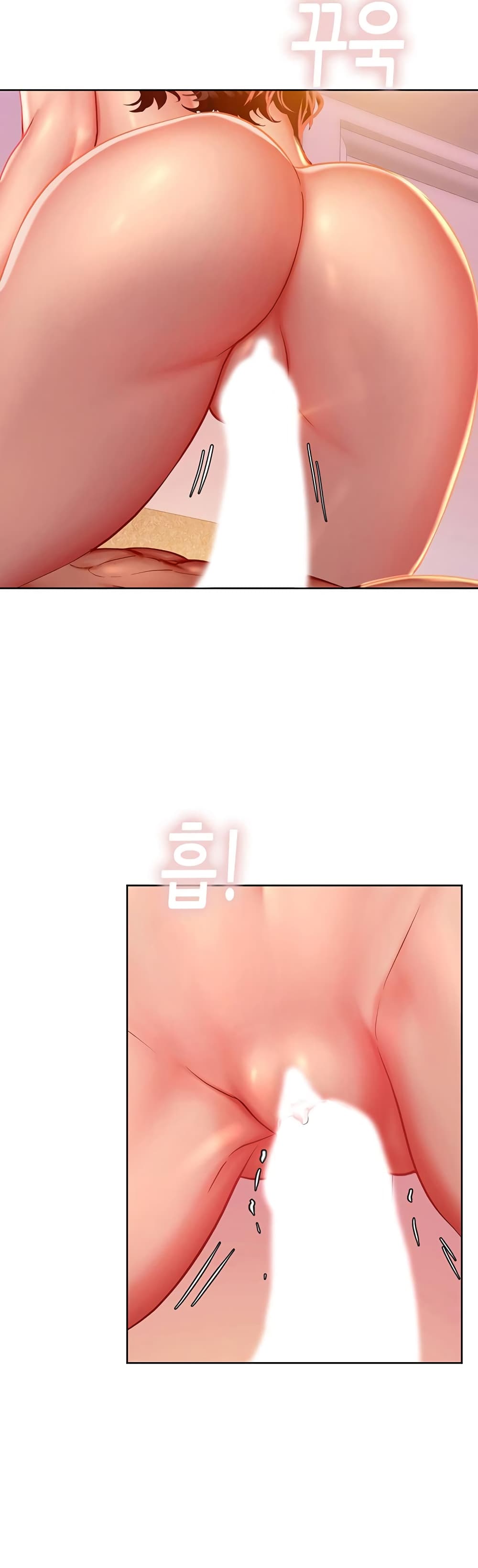 18ntr.com