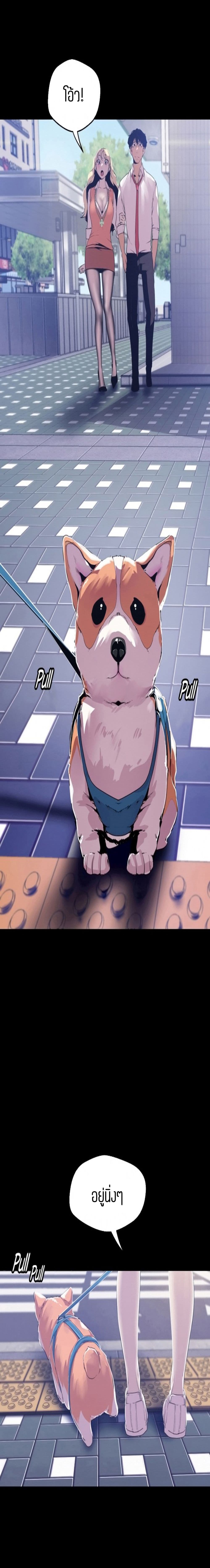 18ntr.com