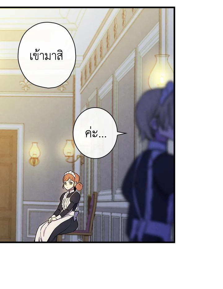 Shadows Queen 42 048