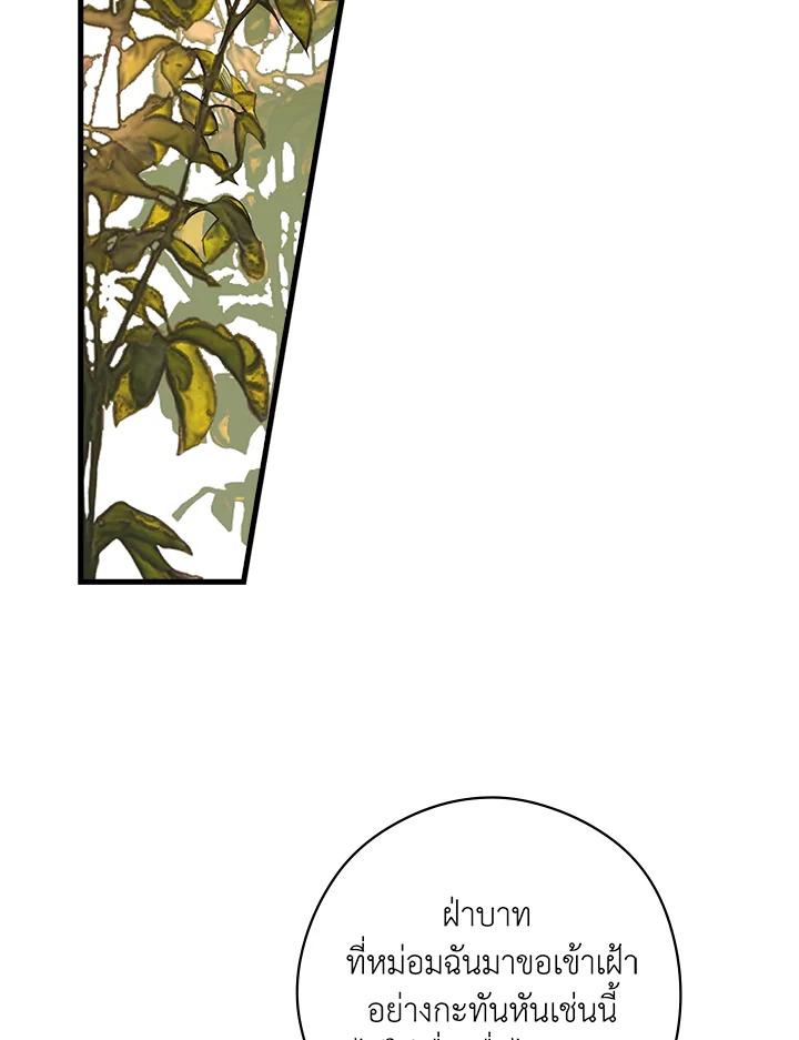 The Lady’s Secret 17 002