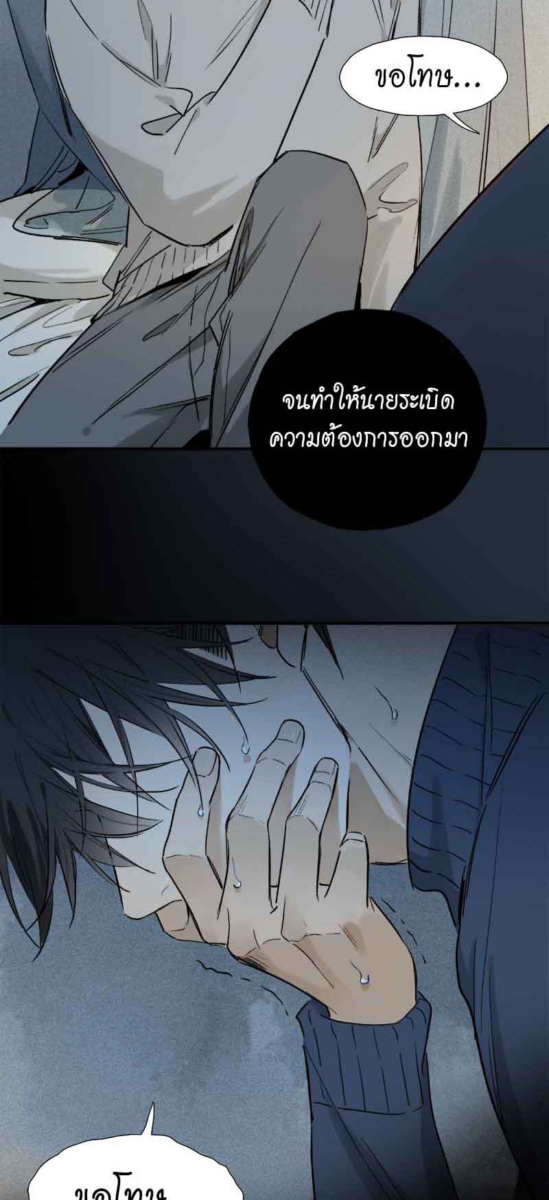 กฎรักแห่งออกัส64 22