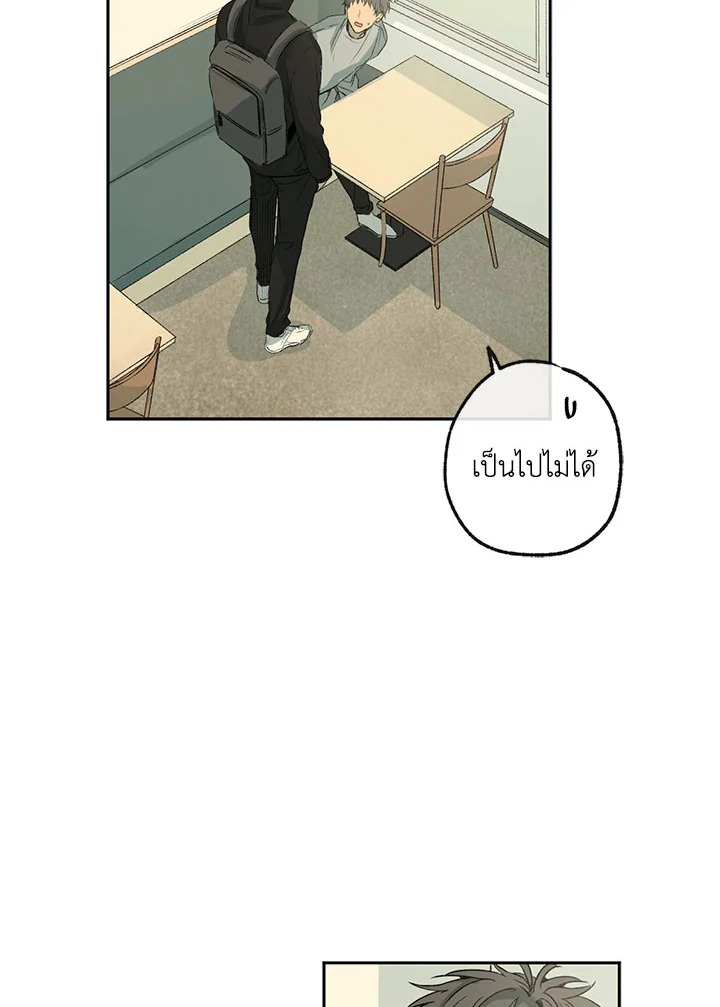 The Shape of Sympathy 3 04