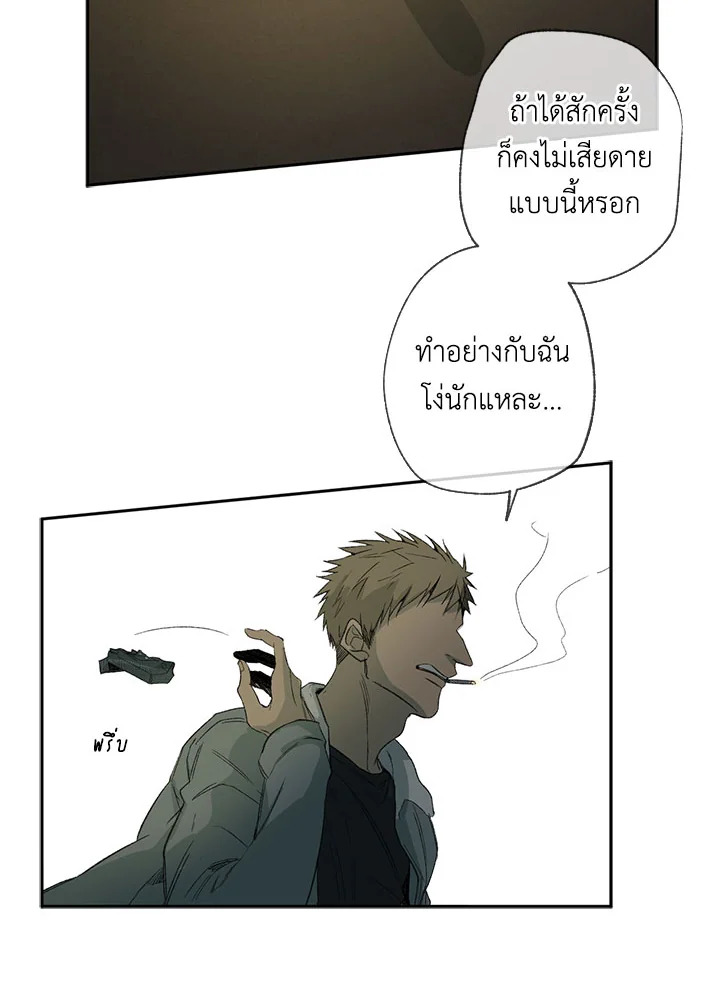 The Shape of Sympathy 23 04