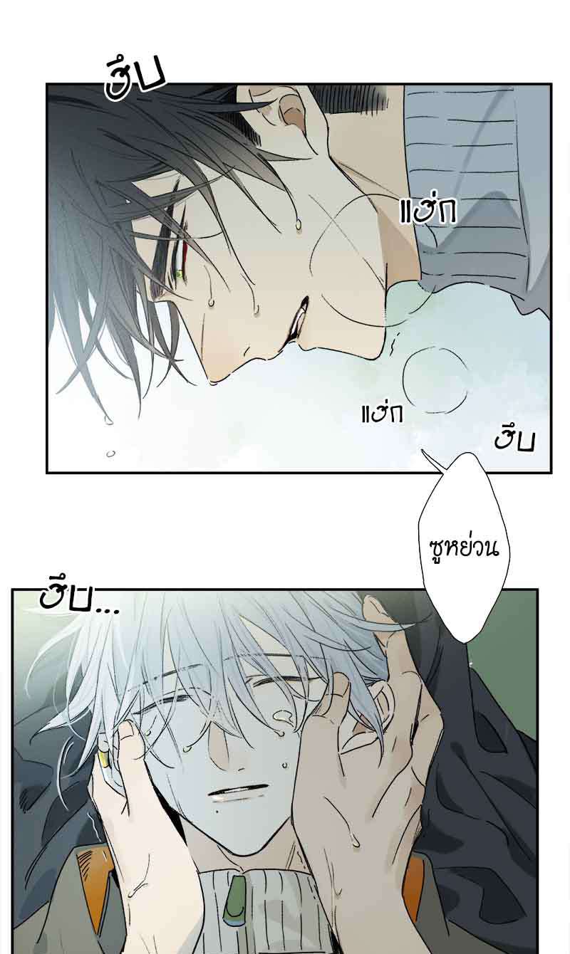 กฎรักแห่งออกัส66 27