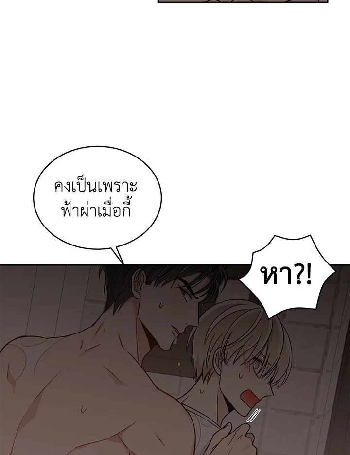 Shuffle 14 17