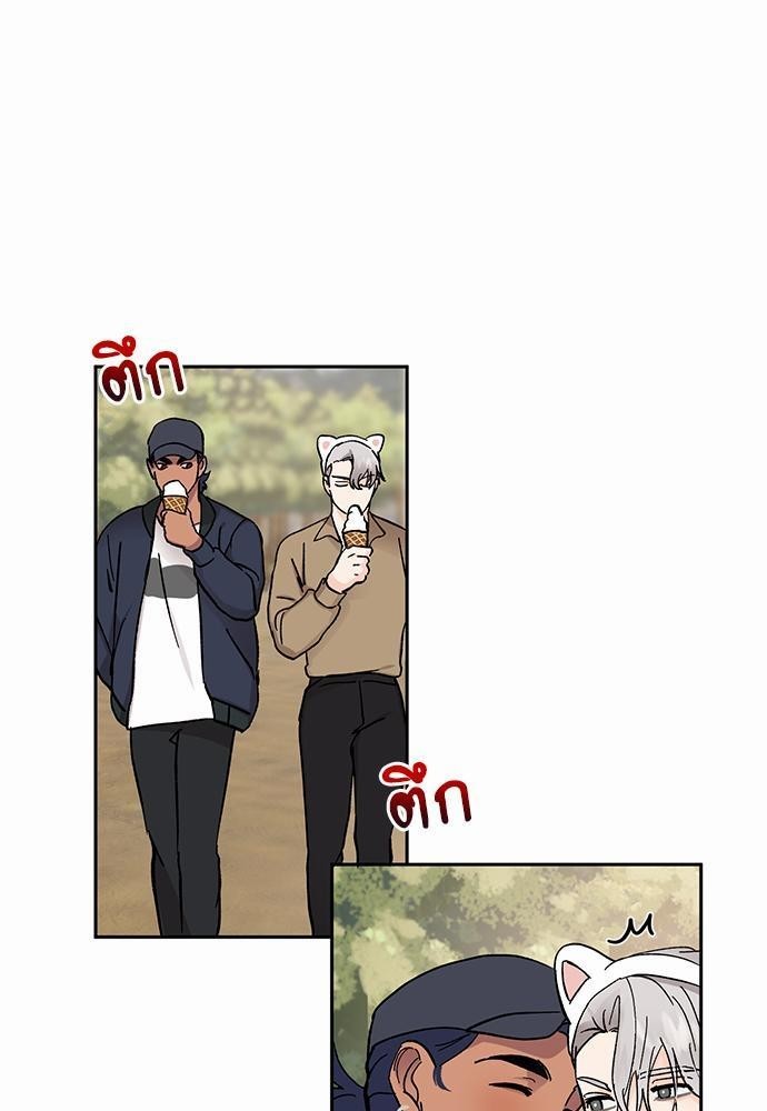 เน€เธชเธทเธญเธเธขเนเธณเธเธฑเธเธ—เธฃเน 28 33