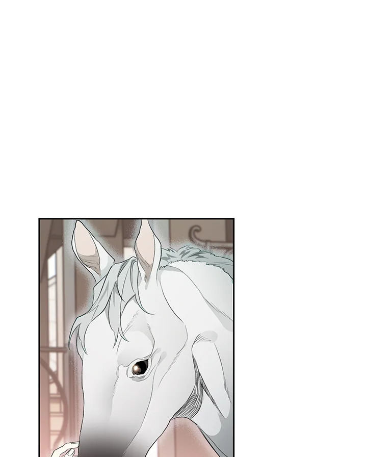 Sigrid 7 89