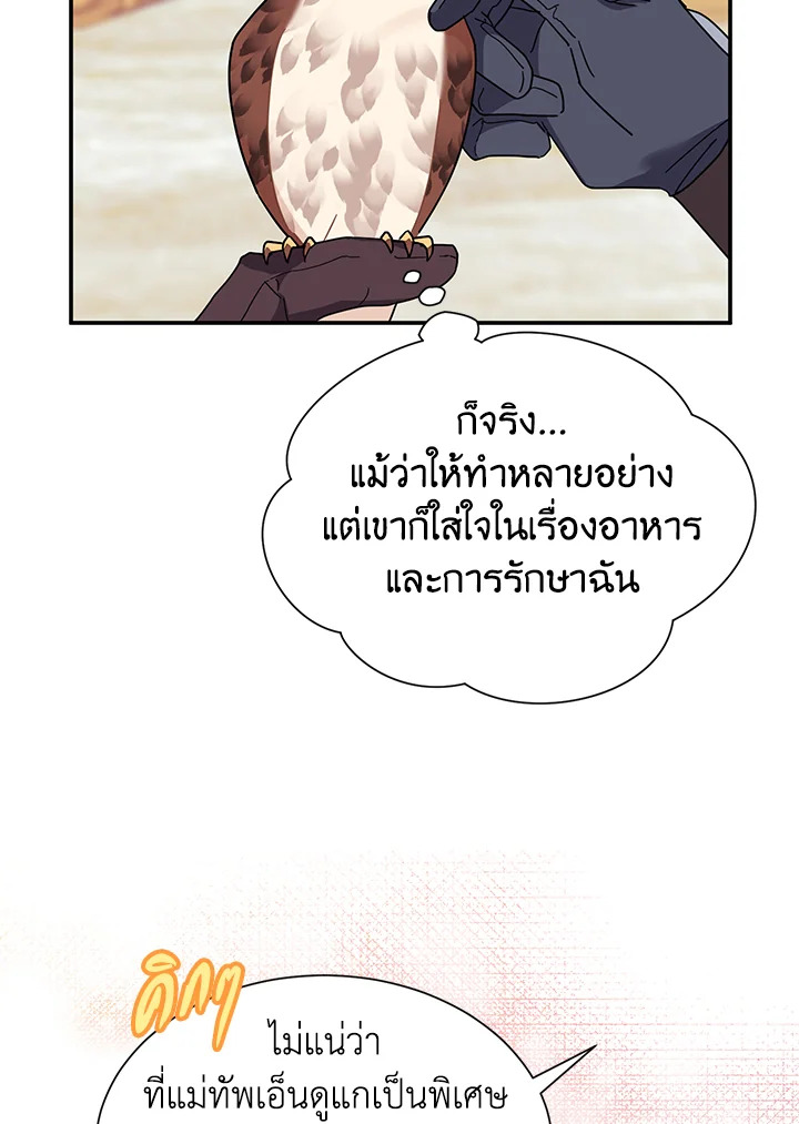 The Falcon Princess 20 15