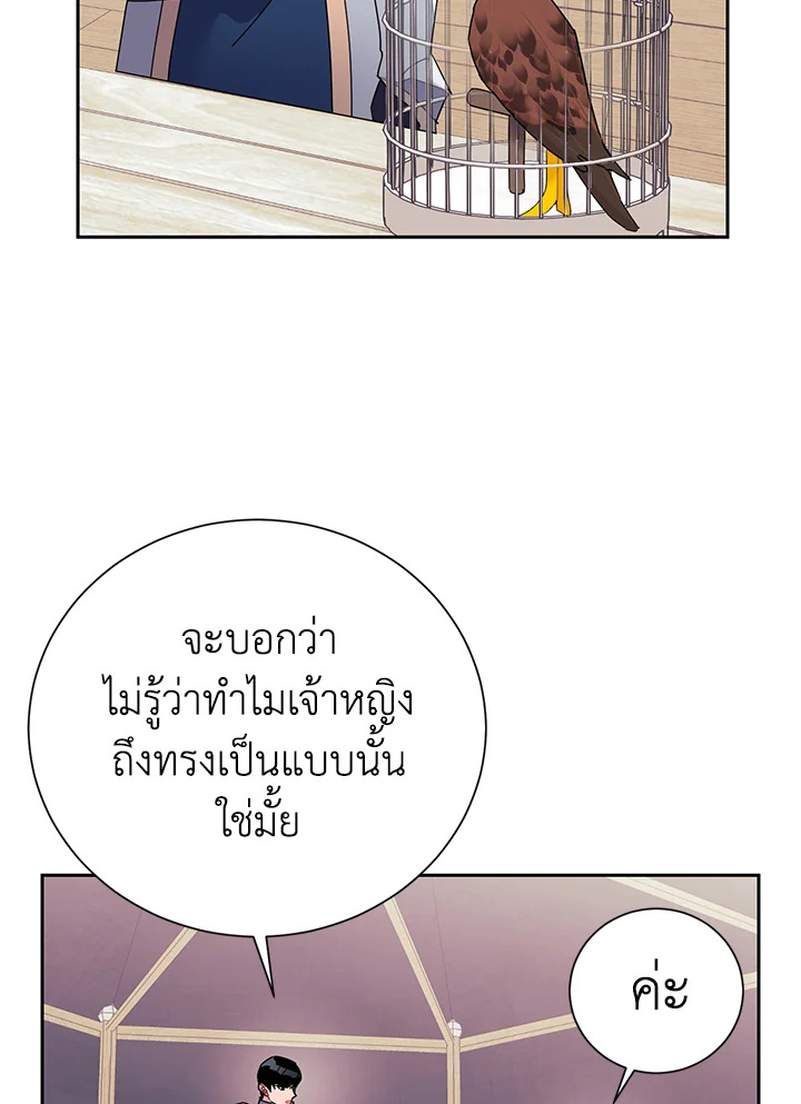 The Falcon Princess 35 64