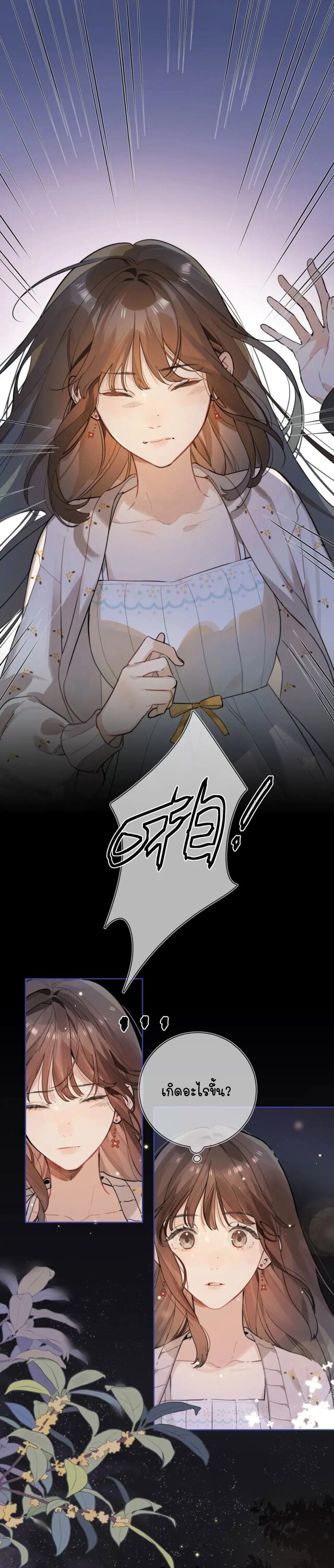 Heliotrope & ZJZ 2 (2)