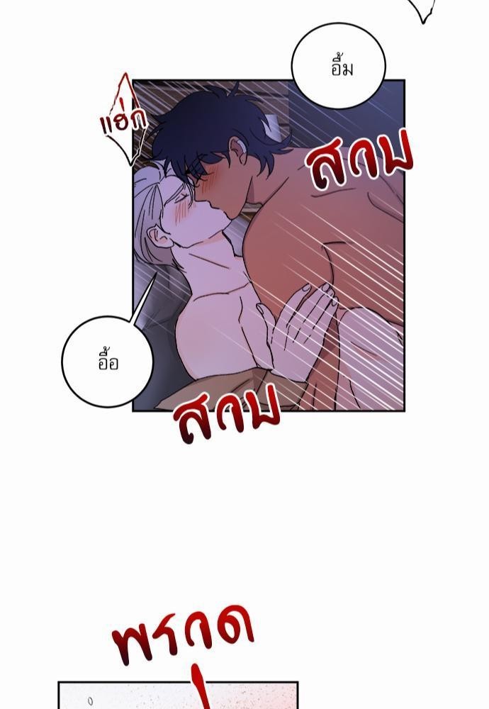เน€เธชเธทเธญเธเธขเนเธณเธเธฑเธเธ—เธฃเน 29 45