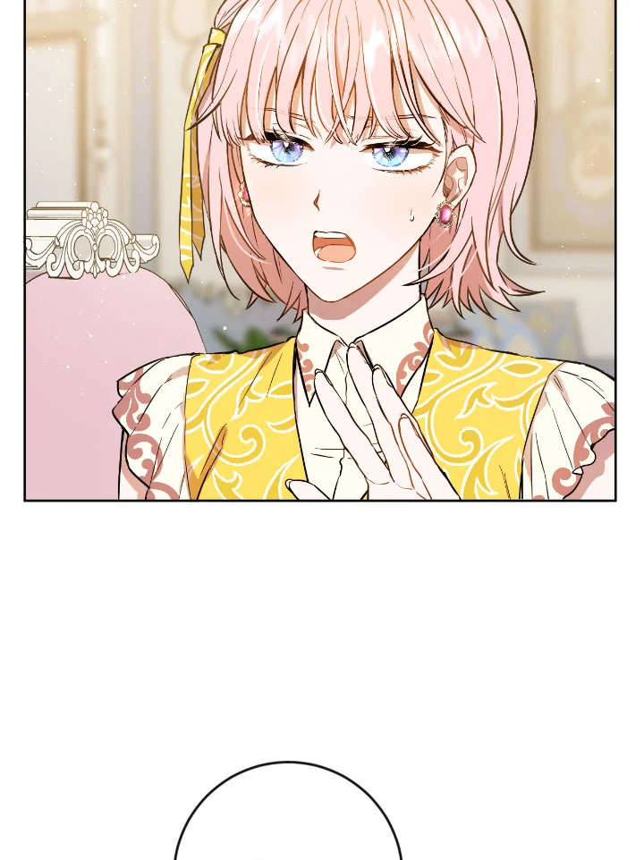 The Princess' Double Life 41 16