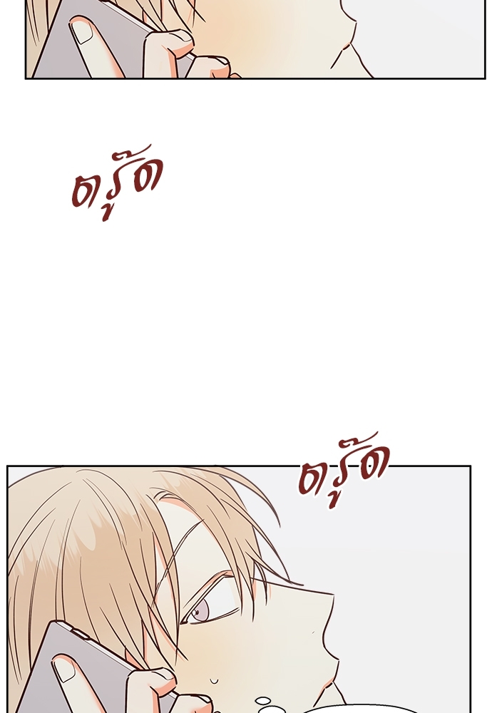 เธฃเนเธฒเธเธชเธฐเธ”เธงเธเธฃเธฑเธ 24 เธเธก 46 61