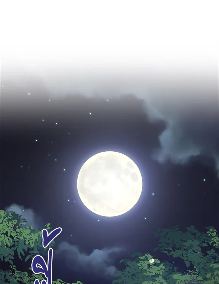 Untouchable Lady 45 86