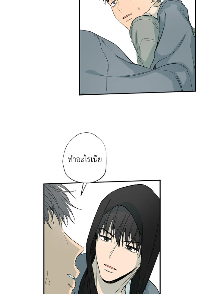 The Shape of Sympathy 32 10