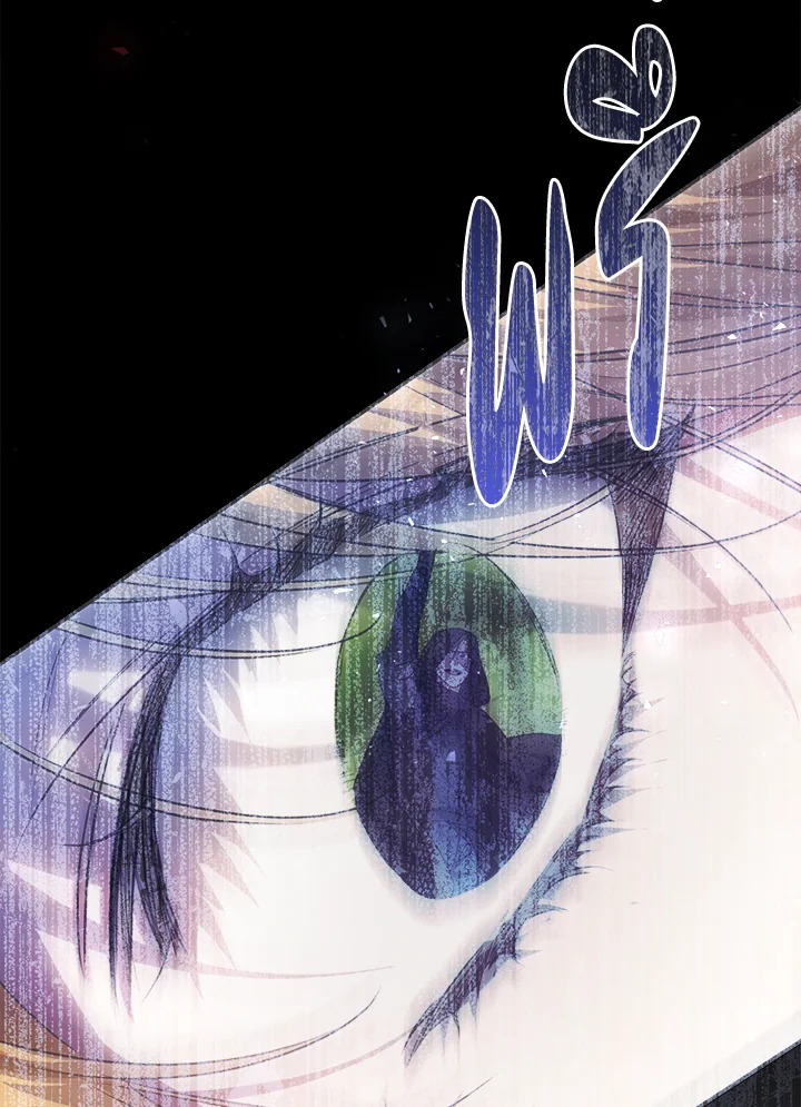 The Villainess Is a Marionette 45 091
