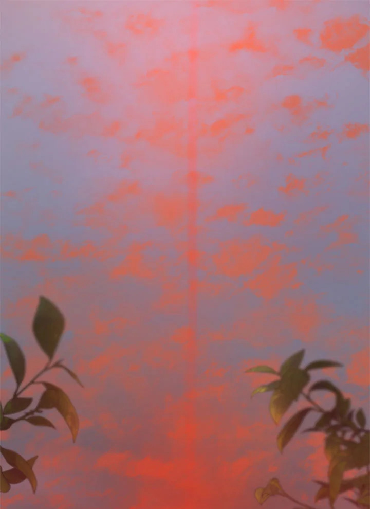 The Way to Protect the Female Lead’s Older Brother 36 01