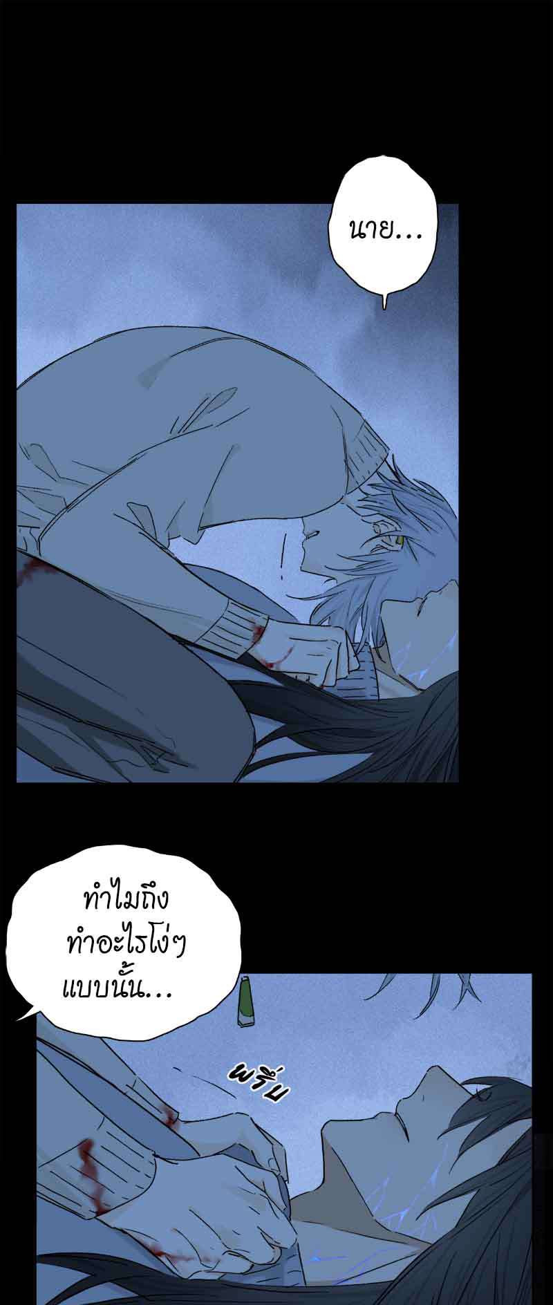 กฎรักแห่งออกัส74 07