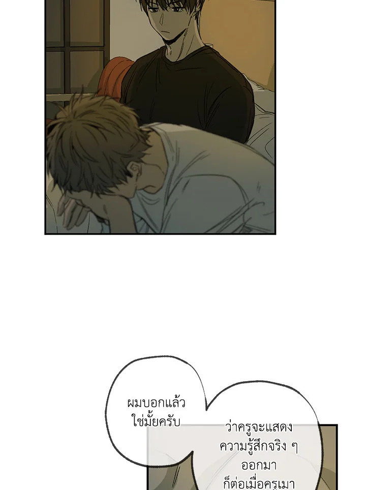 The Shape of Sympathy 49 10