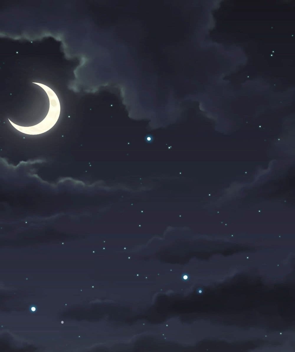 Call me Nemesis ตอนที่ 73 (2)