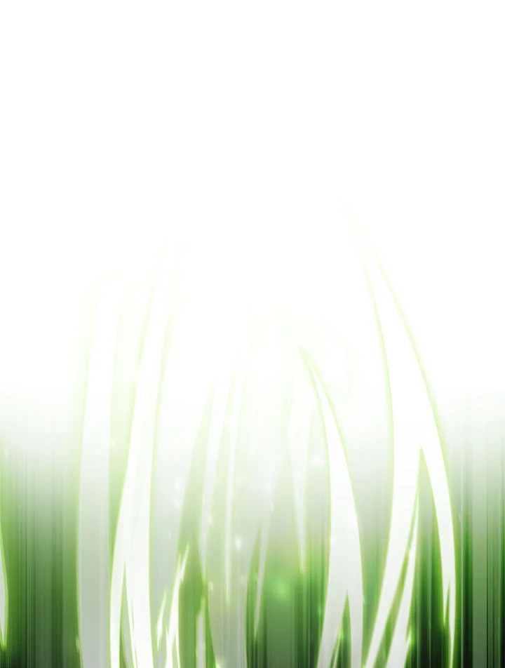 This Is an Obvious Fraudulent Marriage 96 030