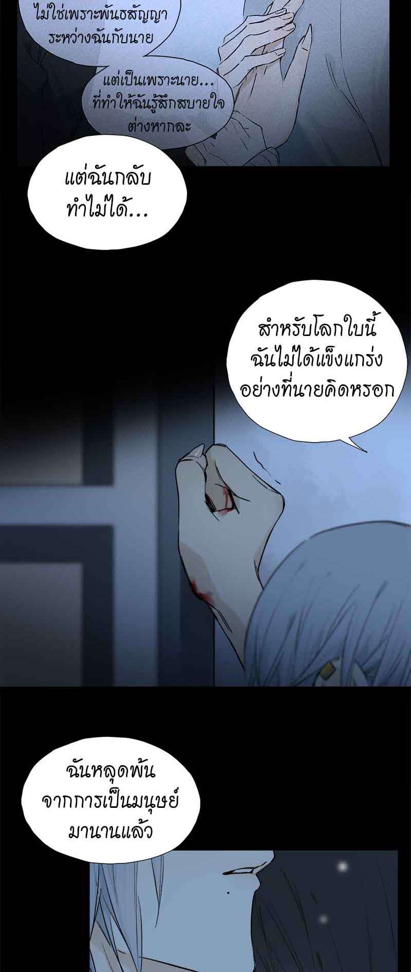 กฎรักแห่งออกัส57 23