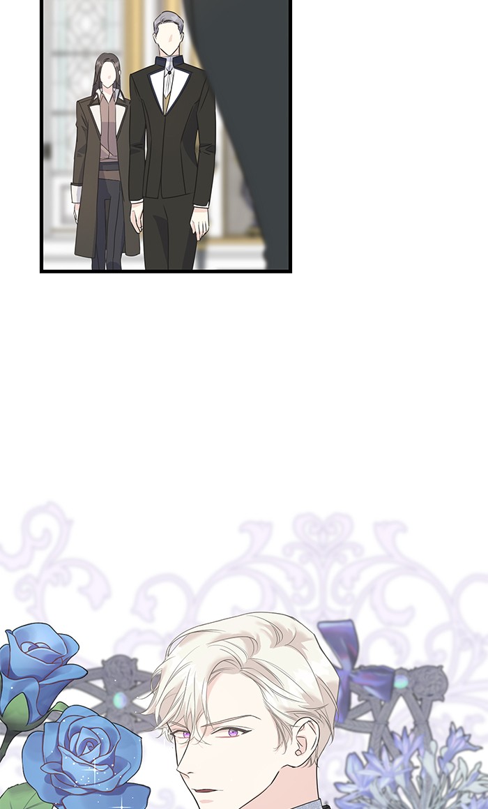 Crows Like Things That Sparkle 41 (21)