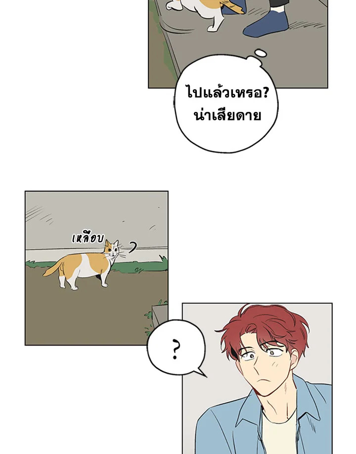 It's Just a Dream...Right! 1 31