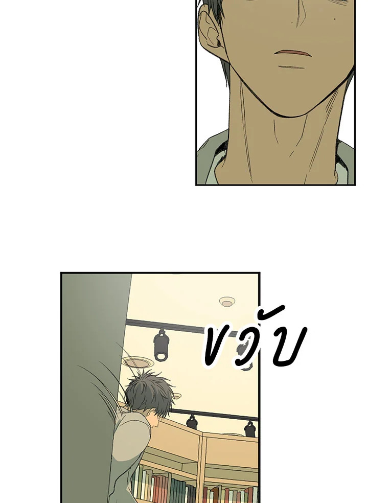 The Shape of Sympathy 42 19