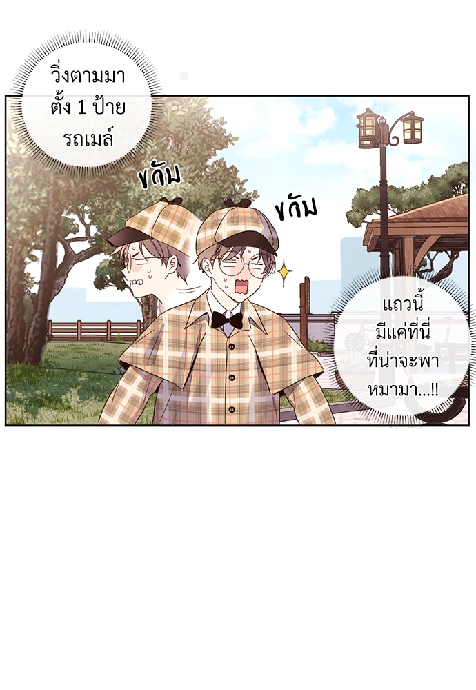 4 Week Lovers 47.3 15