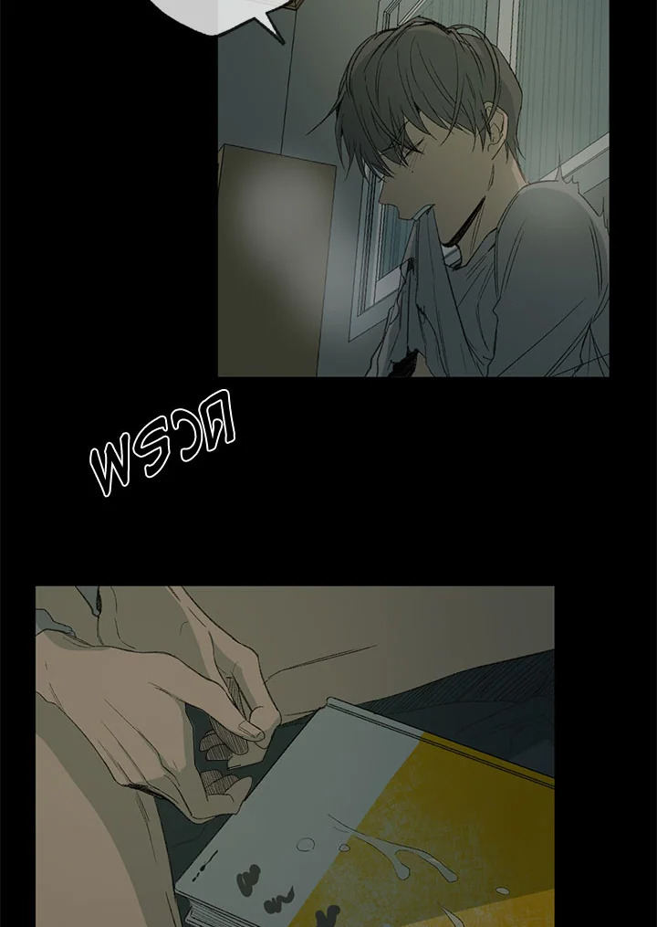 The Shape of Sympathy 45 52