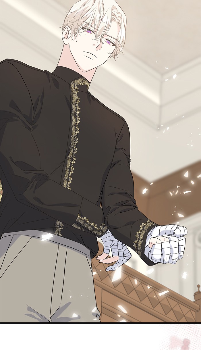 Crows Like Things That Sparkle 39 (59)