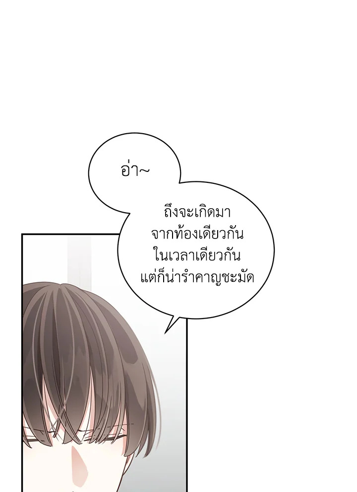 Shuffle 55 88