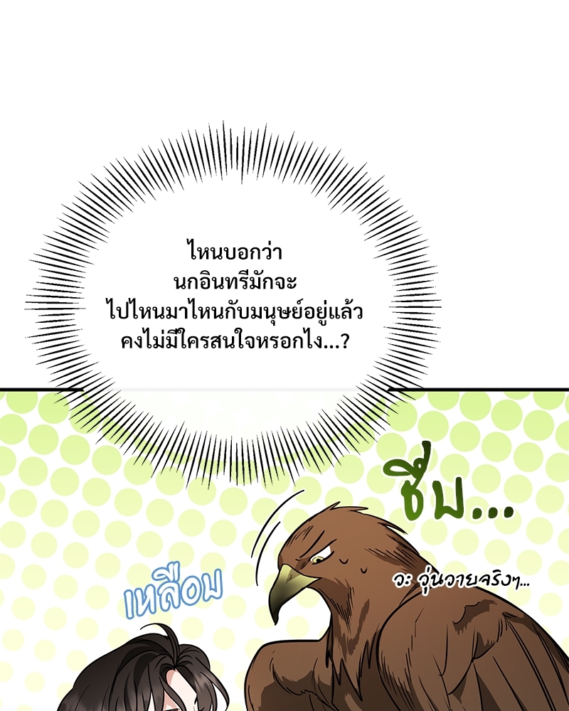 Shadowless Night 18 073