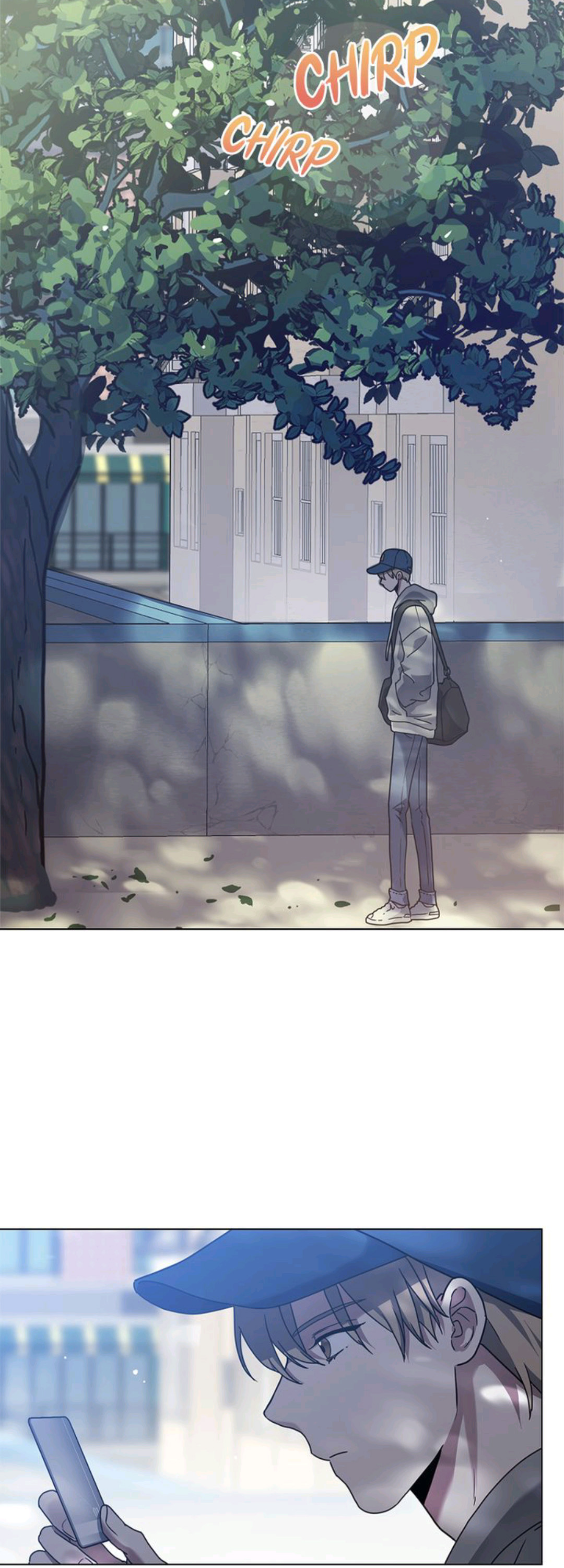 A Trace of the Wonder 6 03