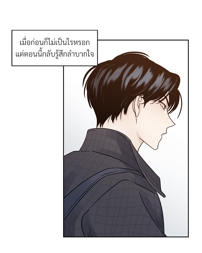 เงาปรารถนา 1 073