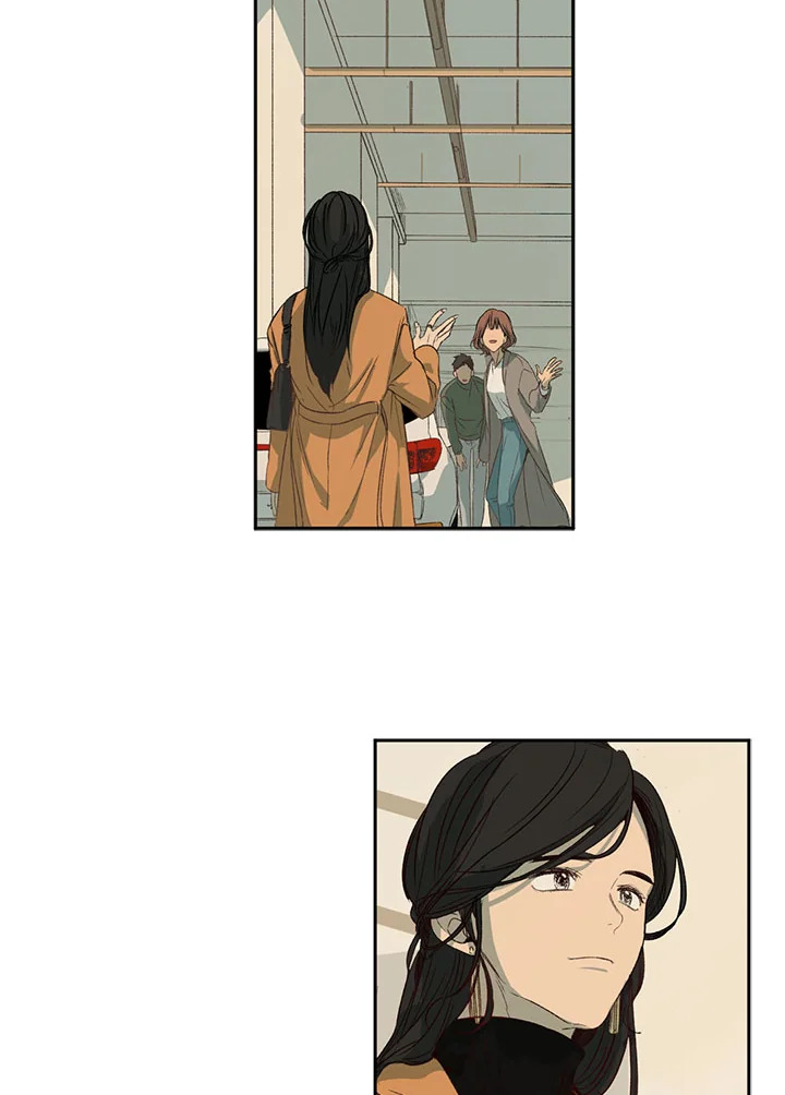 The Shape of Sympathy 2 06