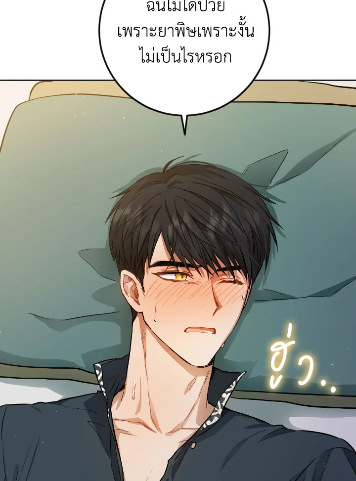 The Princess' Double Life 41 82