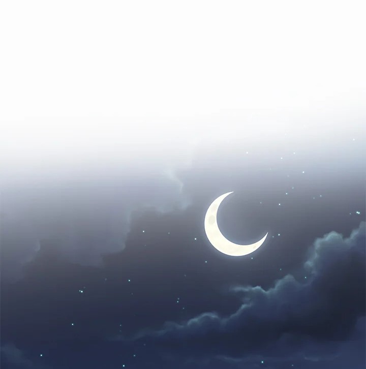 This Is an Obvious Fraudulent Marriage 95 042