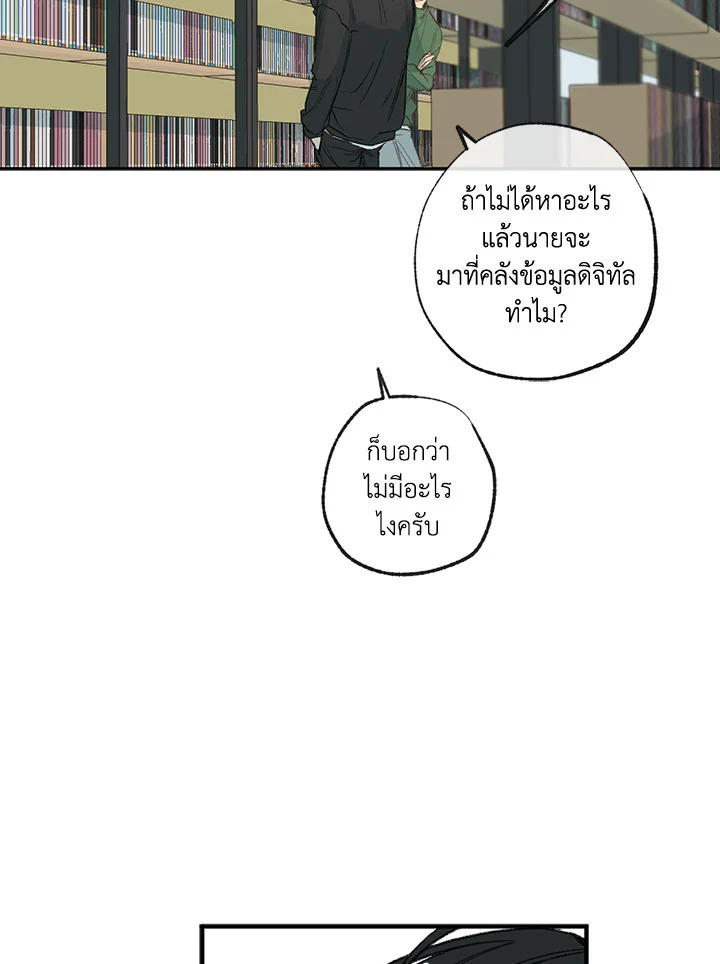 The Shape of Sympathy 55 40