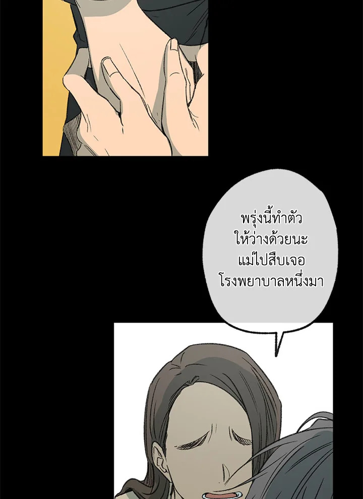 The Shape of Sympathy 48 046