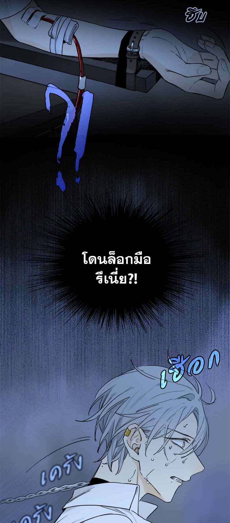 เธเธเธฃเธฑเธเนเธซเนเธเธญเธญเธเธฑเธช52 49
