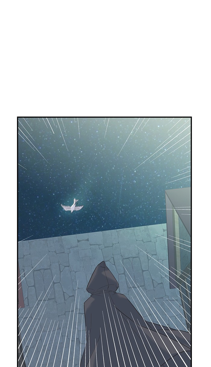 Crows Like Things That Sparkle 22 (4)