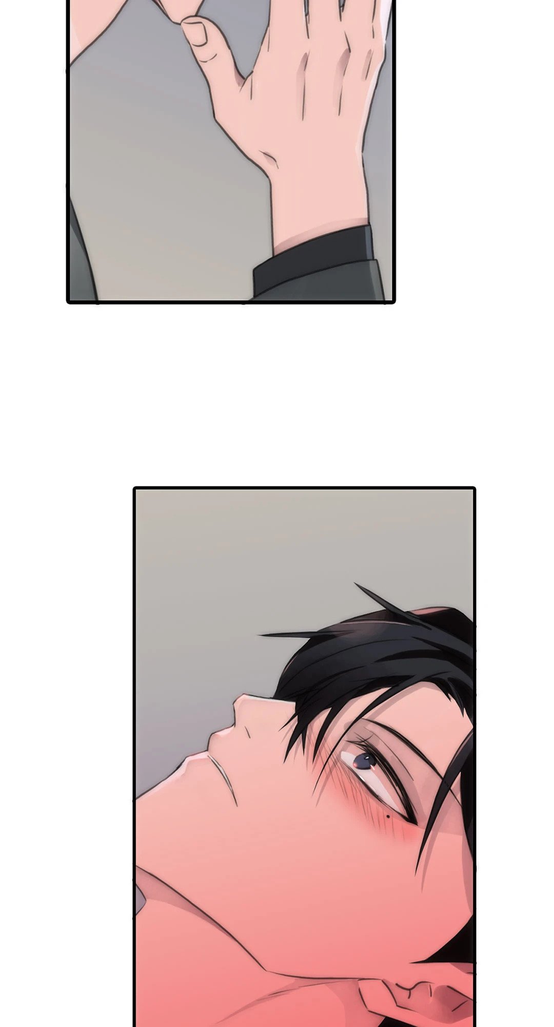 Love Shuttle 36.4 41