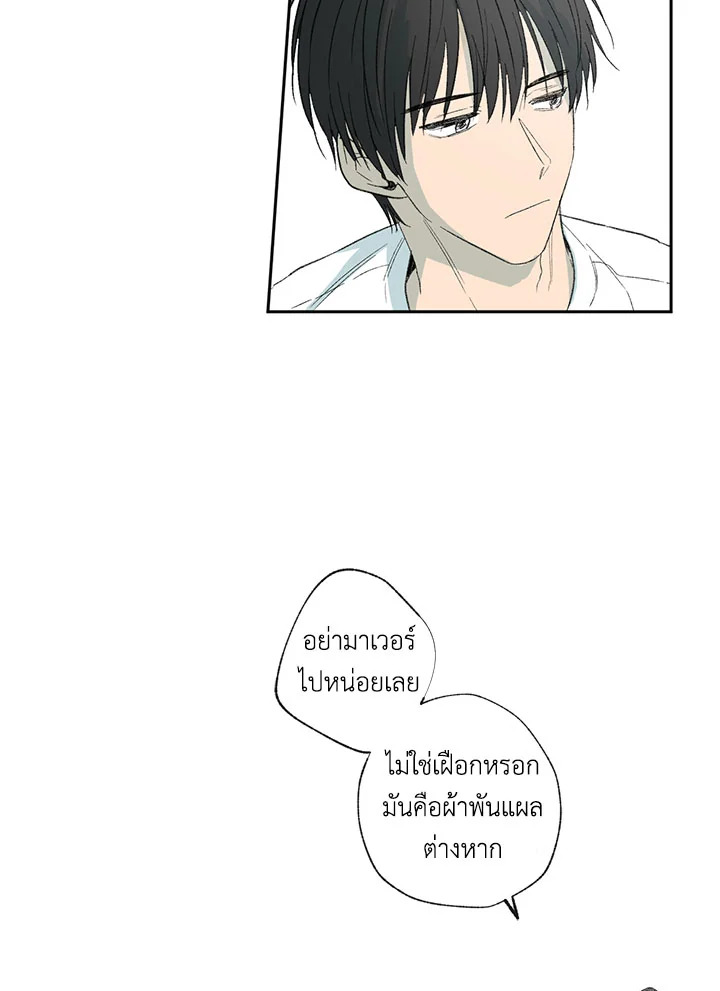 The Shape of Sympathy 10 67
