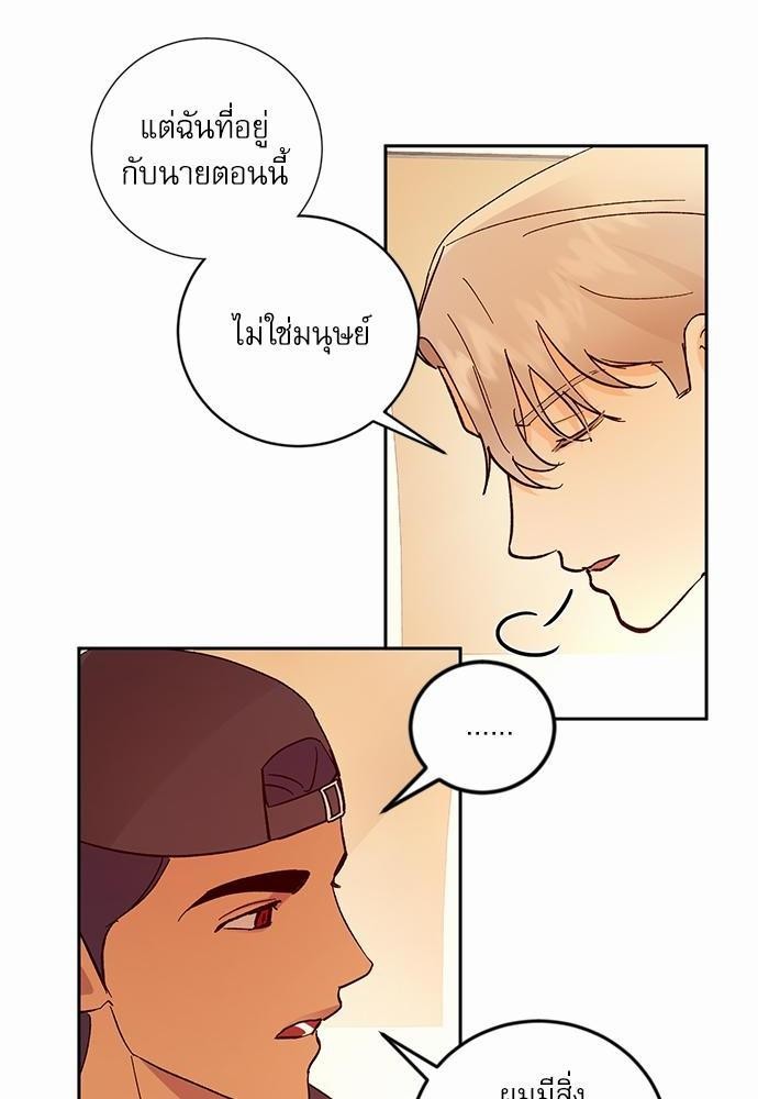 เน€เธชเธทเธญเธเธขเนเธณเธเธฑเธเธ—เธฃเน 28 62